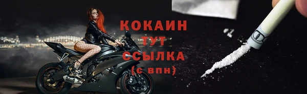 spice Алексин