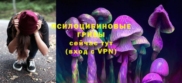 круглые Алзамай